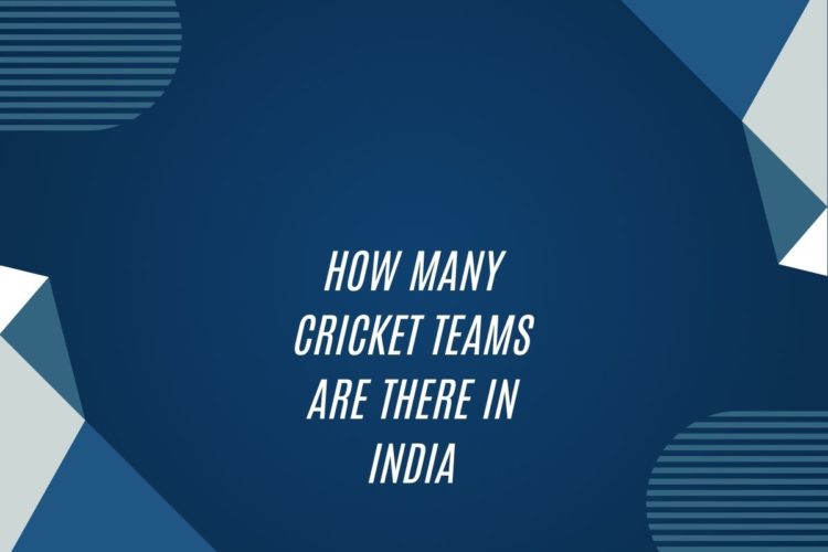 How Many Cricket Teams Are There In India