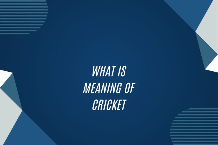 What Is Meaning Of Cricket